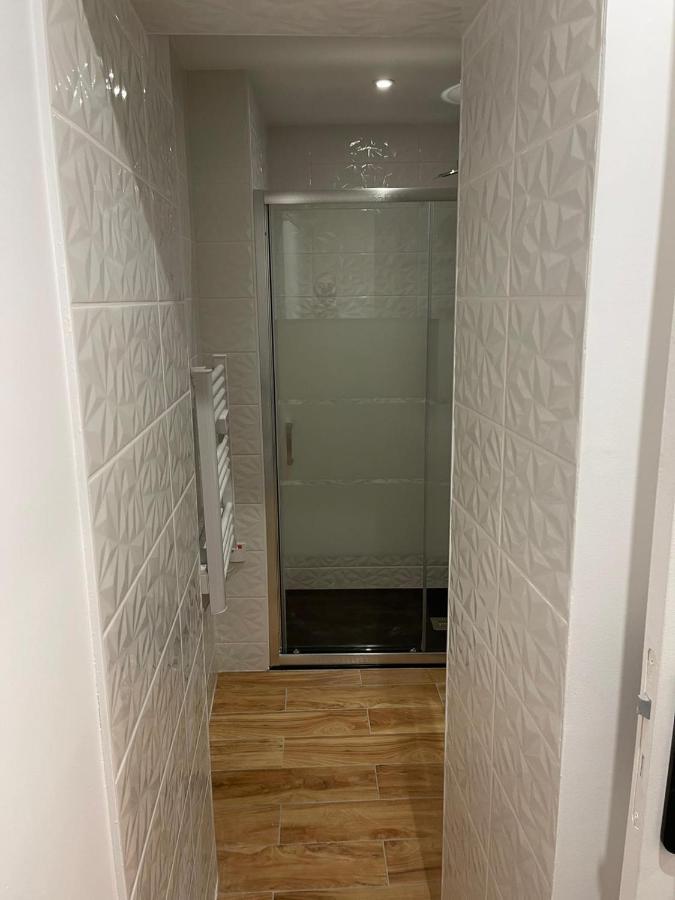 Le Jardin Niortais - Hyper Centre- Proche Gare - Paisible - Grand Jardin Prive, Wifi Hd -Netflix Apartment Екстериор снимка